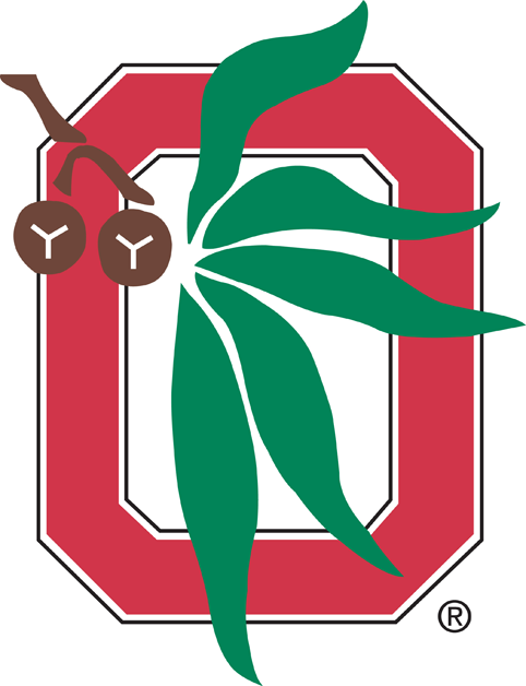 Ohio State Buckeyes 1968-Pres Alternate Logo v3 iron on transfers for T-shirts